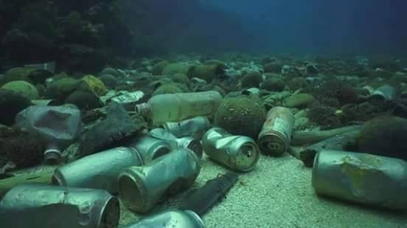 ?Les prochaines épidémies viendront-elles du plastique dans les océans