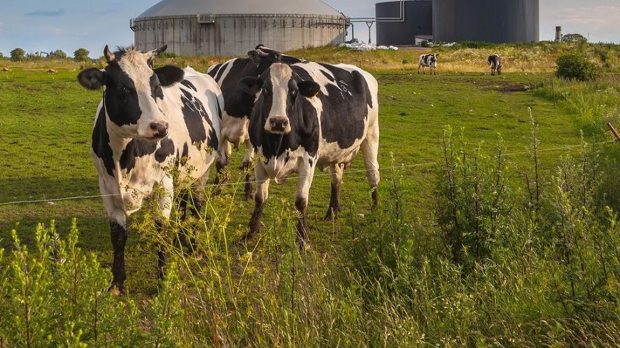 Energie : 4 choses à savoir sur le bilan environnemental de la méthanisation