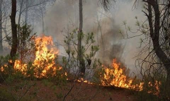 وزير الداخلية في رمادة: بعض الحرائق مفتعلة