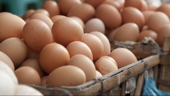 العاصمة: حجز 13 ألف بيضة معدة للترويج خارج المسالك القانونية للتوزيع