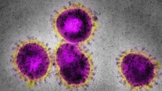 ? Peut-on attraper deux fois le coronavirus