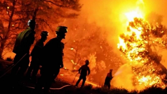 الجزائر : إيقاف 13 مشتبها بهم في حرائق الغابات الأخيرة